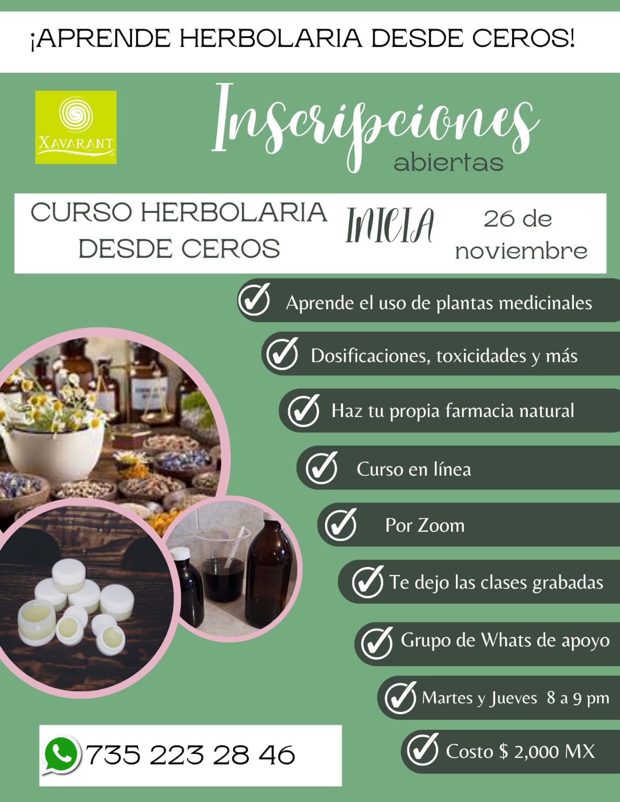 Curso/Taller - Herbolaria desde Cero